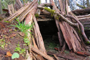 Long term survival shelter in the woods