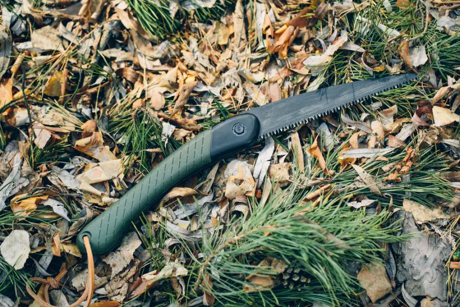 5 Best Camping Saws (For Easily Cutting Firewood)